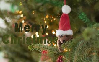 Merry Christmas Wallpaper Pictures Image