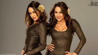 Wwe Wallpaper The Bella Twins Bellas Brie Nikki