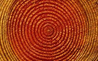 Desktop Wallpaper Puzzling Circles