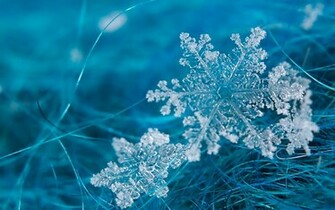 Snowflake Wallpaper Background
