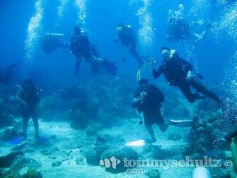 Scuba Diving Wallpaper High Resolution Tropical Fish Divers