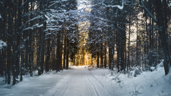 Landscape 4k Ultra HD Wallpaper Winter
