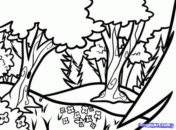 Draw Forests Forest Background Step By Landscapes