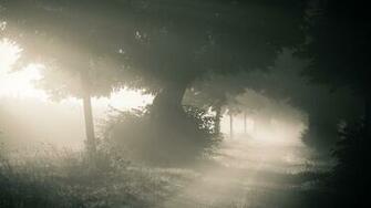 File Name Fog HDq Jpg Cristopher Macdeezee