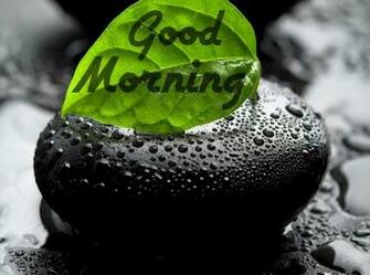 Good Morning Saturday Image Quotes Wallpaper Messages Wishes