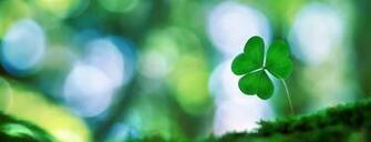 Irish Shamrock Wallpaper Mom