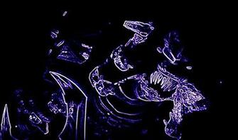Halo Reach Elite Wallpaper Mod3 Photo Jpg