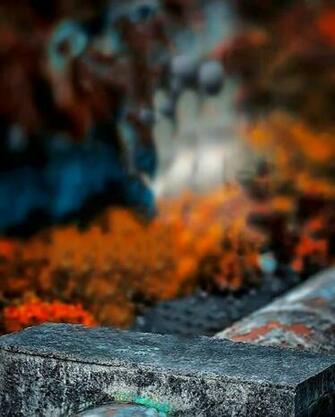 Best Photo Editing Background Tutorial Photoshop Cc