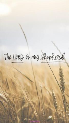 Phone Wallpaper The Lord Is My Shepherd Phonewallpaper