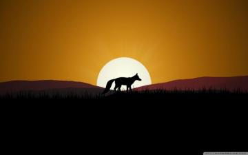 Fox Sunset Ultra HD Desktop Background Wallpaper For 4k UHD Tv