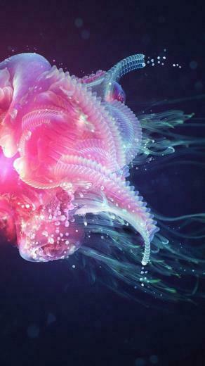 Justin Maller Motion Abstract Jellyfish Underwater Wallpaper