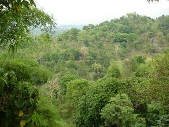 Scenery Wallpaper Tropical Mountain Baguio City To La Union