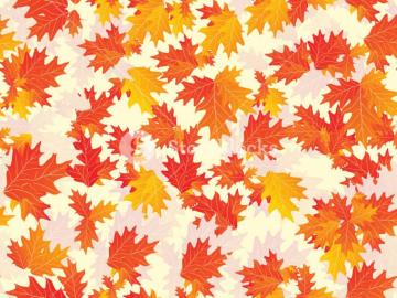 Background With Canadian Leaf Royalty Stock Image Storyblocks
