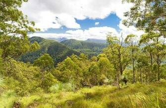 Sherwood Lookout Nsw National Parks