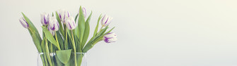 Spring Is Here Ultra HD Desktop Background Wallpaper For