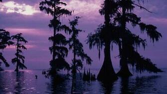 Bayou Sunset Louisiana Landscapes Purple Sky
