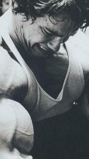 Wallpaper Arnold Schwarzenegger Actor Producer Director