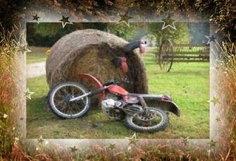 Country Boys Misbehave Wallpaper