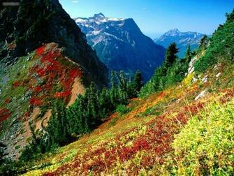 Cascades In Autumn Mount Baker Washington Desktop Wallpaper Nr