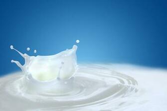 Milk Dairy