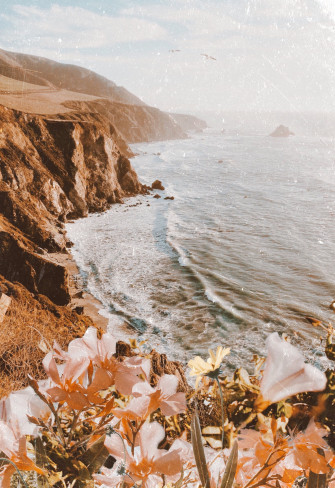 Ocean Aesthetic Collage Wallpaper