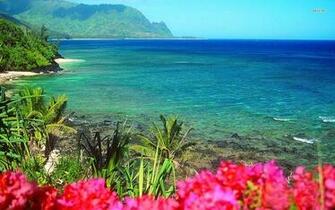 Beach Flower Wallpaper Hawaii Flowers