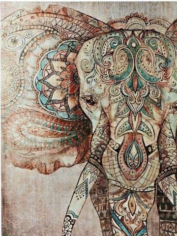 Kamalraj Sandhu On Art Elephant Artwork