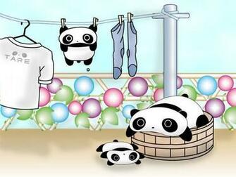 Kawaii Image Tarepanda HD Wallpaper And Background Photos