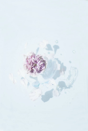 Flower Android Wallpaper