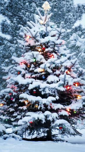 Snow Christmas Tree iPhone Wallpaper HD
