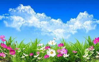 Pics Photos Spring Background Image