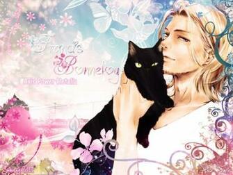 Francis Bonnefoy Hetalia Wallpaper