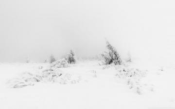 Aesthetic White Wallpaper On