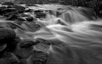 Pics Photos Rocky Stream In Black White And