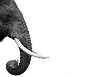 Black And White Background