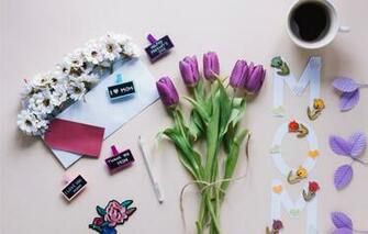 Wallpaper Flowers Gift Purple Tulips Love With