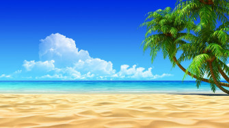 Sea Summer Paradise Fantastic Beach Sunset Palm Tree