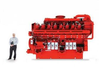 Hedgehog Cummins Engines