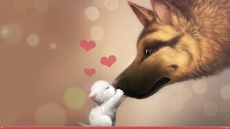 Dog Cat Love HD Wallpaper FullHDwpp Full