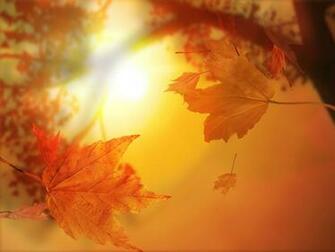 Kids Under Fall Wallpaper For Desktop