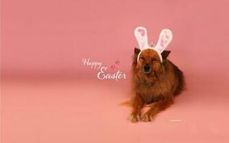 Easter Holidays Wallpaper Easterpaper Image Katenet