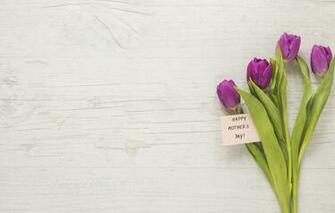 Wallpaper Flowers Bouquet Tulips Happy Purple