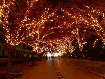 HD Christmas White Lights Wallpaper Festive Display In