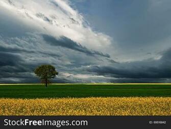 Green Field Beautiful Nature Background Amazing Colorful Wallpaper