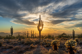 Spots To Watch Sunrise Sunset Experience Scottsdale