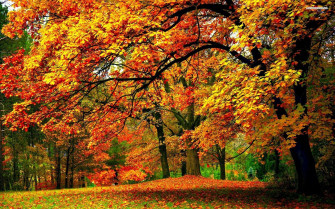 Early Fall Desktop Wallpaper