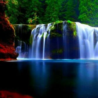 Real Nature Jehovah Creations Bible