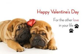 Happy Valentines Day Dog Talk