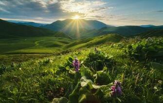 Wallpaper The Sun Rays Landscape Mountains Nature Dawn Hills