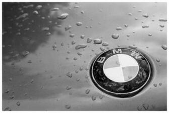 Bmw Car Logo Wallpaper HD White
